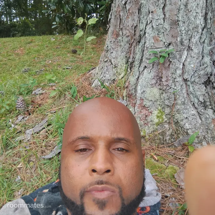 Roommate looking Jacksonville, NC, $600