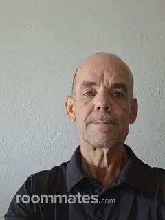 Roommate looking Saint Clair Shores, MI, $700