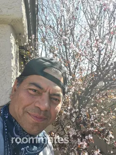 Roommate looking Phoenix, AZ, $800