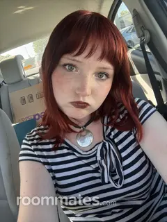 Roommate looking Sacramento, CA, $900
