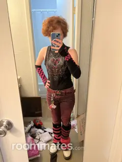 Roommate looking Deer Park IL, $500