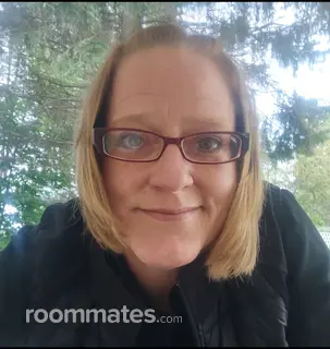 Roommate looking Roseville, MI, $700