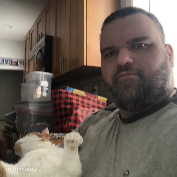 Roommate looking Quakertown, PA, $1000