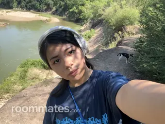 Roommate looking Arlington, TX, $700