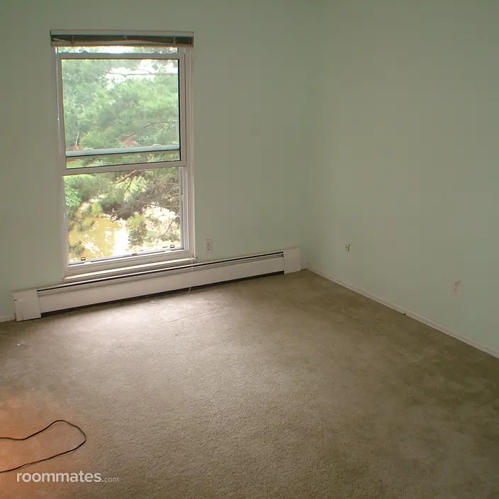 Room for rent in Boulder, CO $900, condo