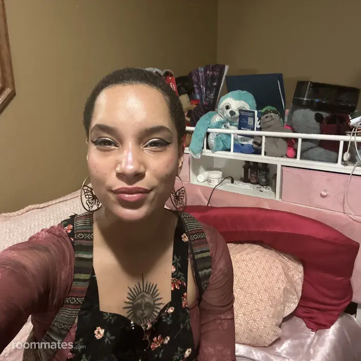 Roommate looking Romeoville IL, $600