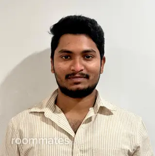 Roommate looking Lyndhurst, NJ, $800