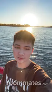 Roommate looking Madison, WI, $800