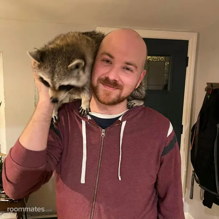 Roommate looking Hauppauge, NY, $2000