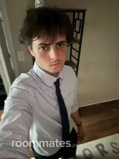 Roommate looking Knoxville, TN, $700