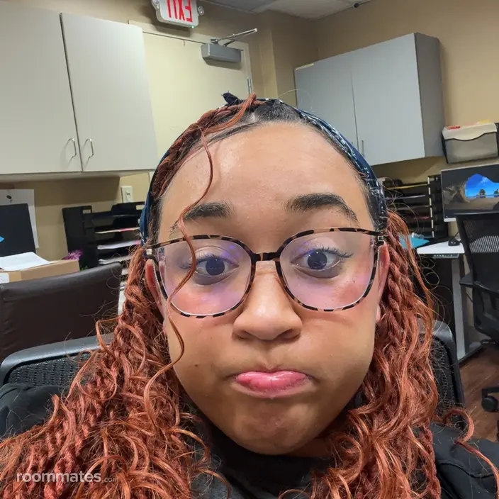 Roommate looking Harper Woods, MI, $700