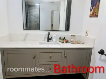 Room for rent in Orlando, FL $1400, condo
