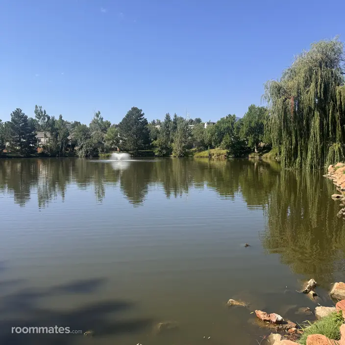 Room for rent in Boulder, CO $1250, condo