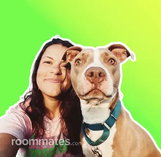 Roommate looking Mesa, AZ, $1000