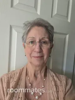 Roommate looking Saint Cloud, FL, $1000