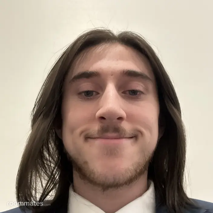 Roommate looking Boston, MA, $1000