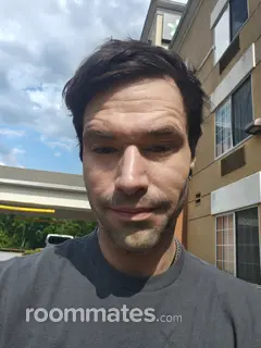 Roommate looking Philadelphia, PA, $800