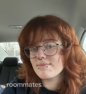 Roommate looking Cincinnati OH, $500