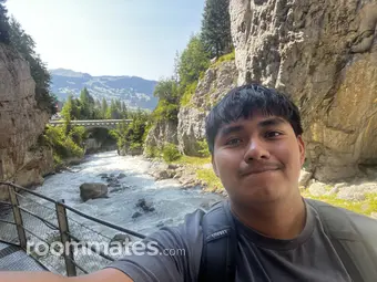 Roommate looking San Marcos, TX, $900