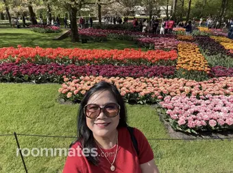 Thumbnail 16