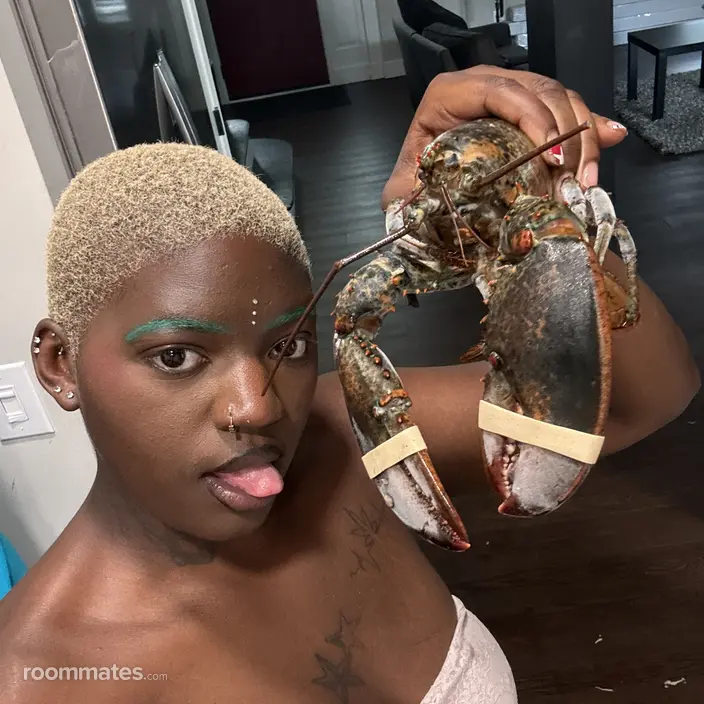 Roommate looking Baltimore, MD, $1500