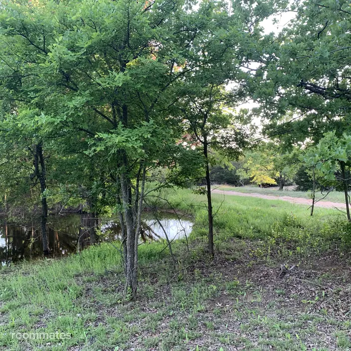 Room for rent in Alvarado, TX $800, house