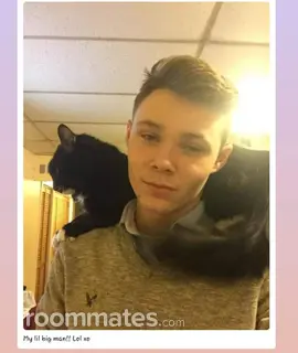 Roommate looking Budd Lake, NJ, $2000