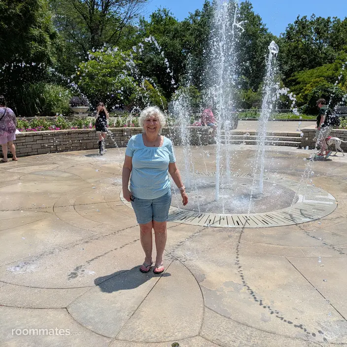 Roommate looking Lees Summit, MO, $1000