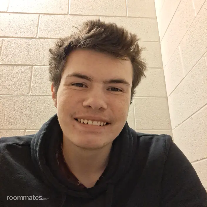 Roommate looking Chesterfield, VA, $700