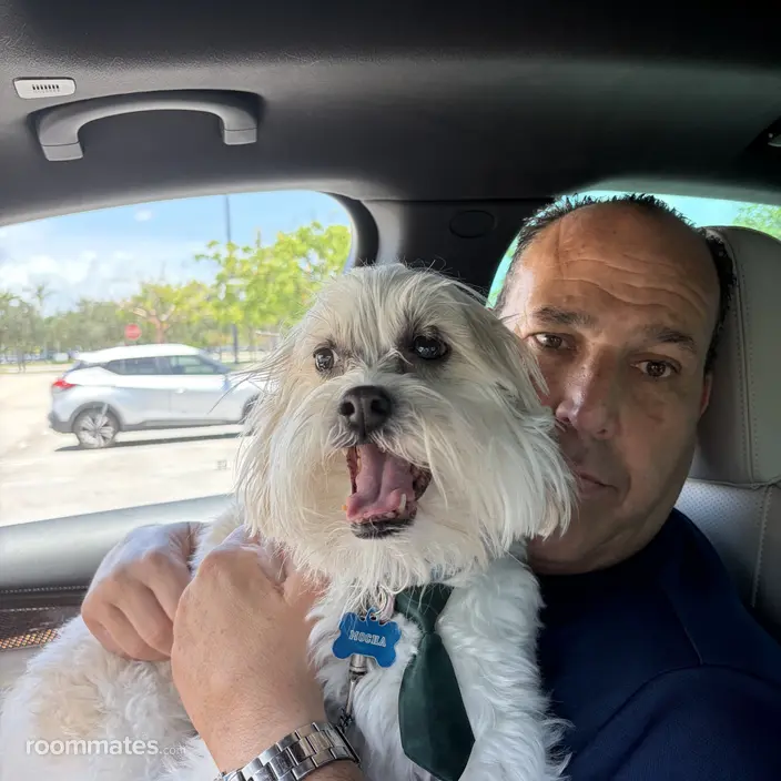 Roommate looking Boca Raton, FL, $1200