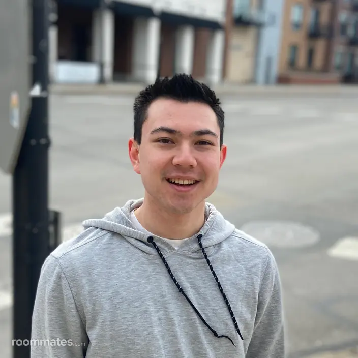 Roommate looking Berwyn, IL, $700