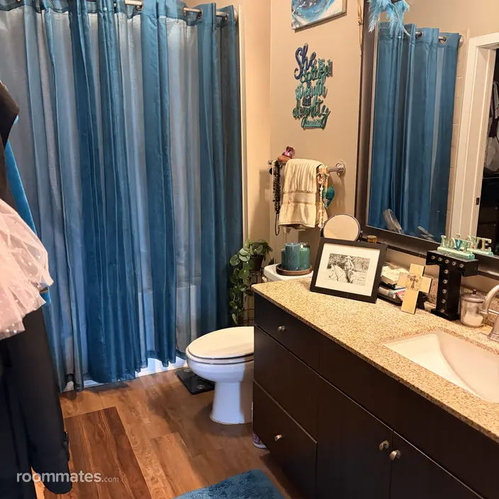 Room for rent in Spring, TX $700, apartment