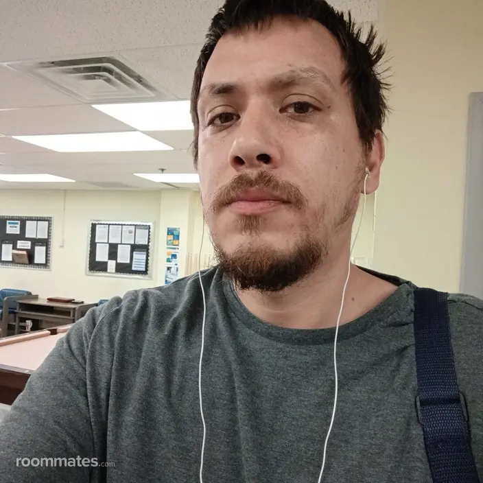 Roommate looking Easton, MD, $800