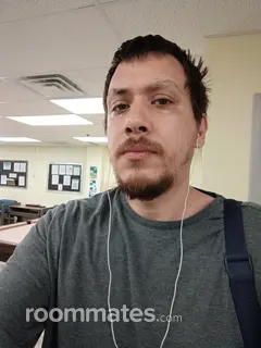 Roommate looking Easton, MD, $800