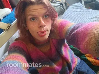 Roommate looking Boise, ID, $900