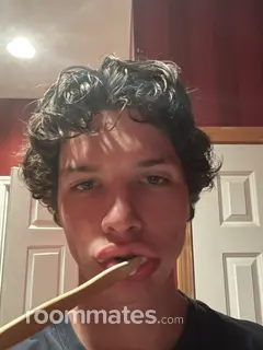 Roommate looking Denver, CO, $1000