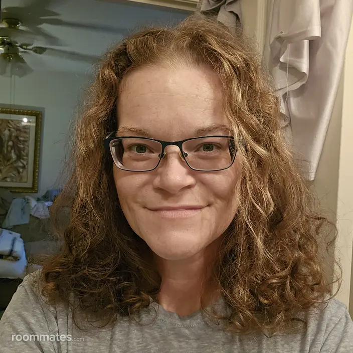 Roommate looking Chicago, IL, $900