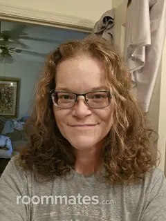 Roommate looking Chicago, IL, $900