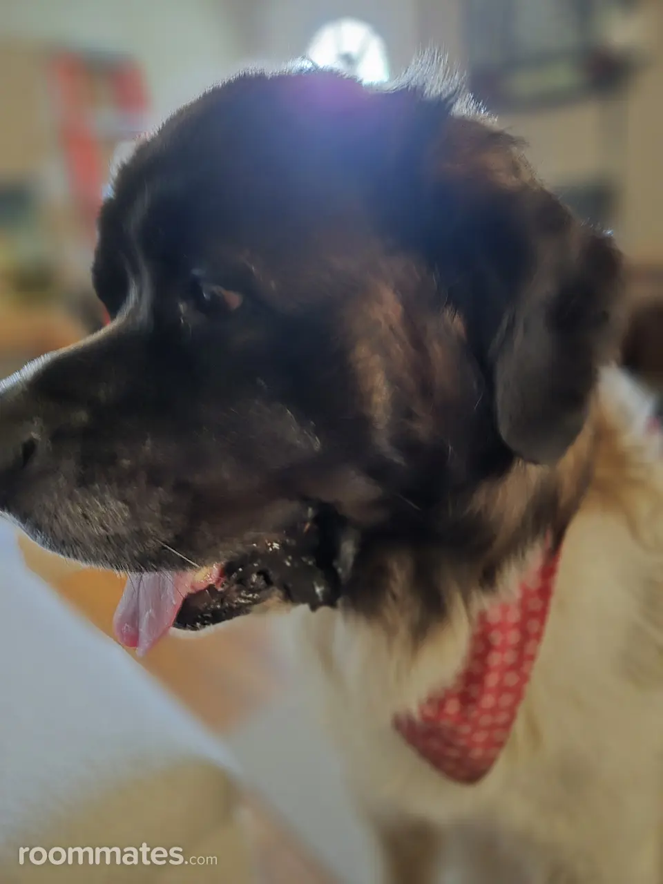 Profile photo 11 of 20