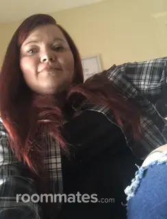 Roommate looking Shallotte, NC, $700