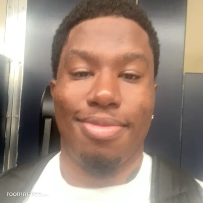 Roommate looking Miami, FL, $1000
