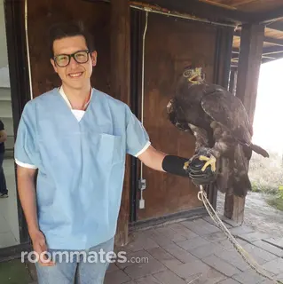 Roommate looking Granada Hills, CA, $1000