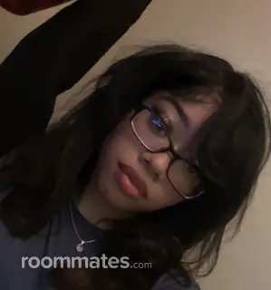 Roommate looking Battle Creek, MI, $700