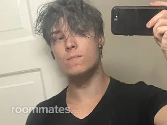 Roommate looking Saint Louis, MO, $900