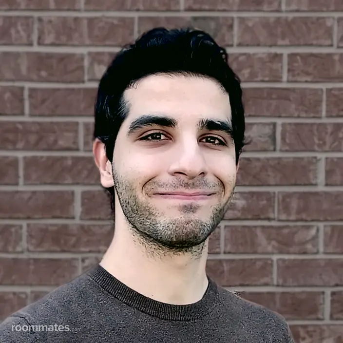 Roommate looking Utica, MI, $700