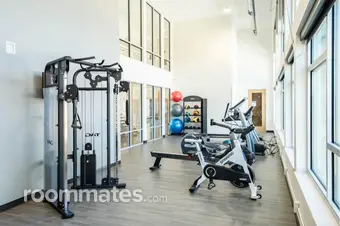 Room for rent in Stevens Point, WI $590, other