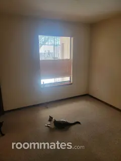 Room for rent in Albuquerque, NM $800, house