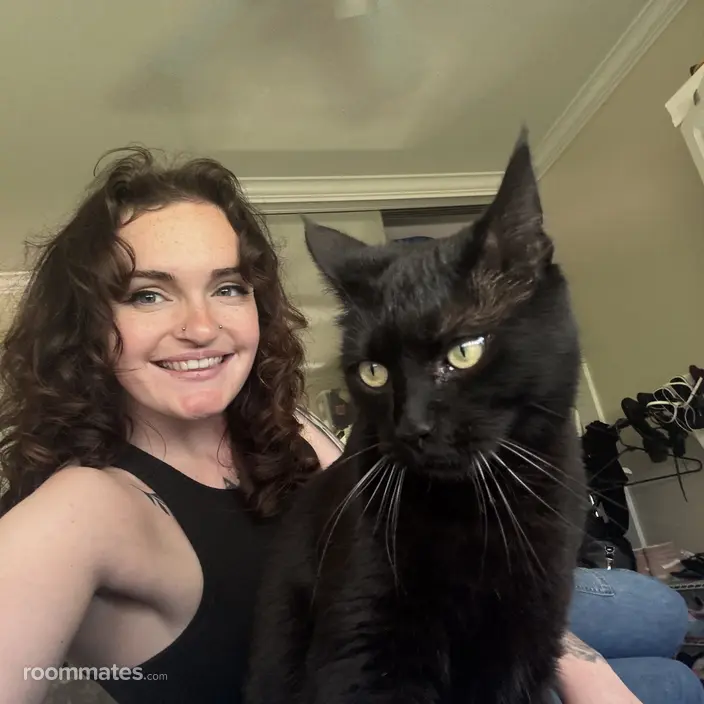 Roommate looking Irvine, CA, $1200