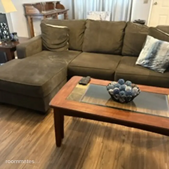 Room for rent in New Braunfels, TX $500, other