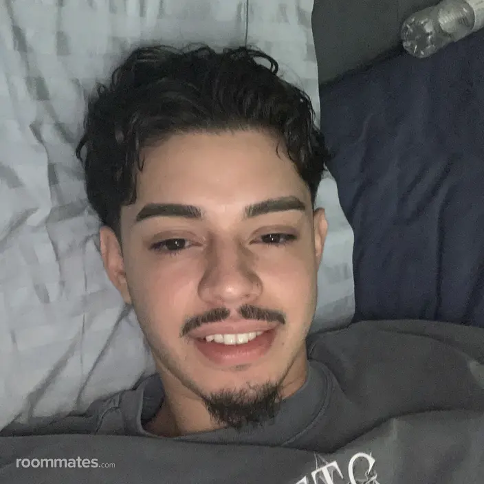 Roommate looking Miami, FL, $800